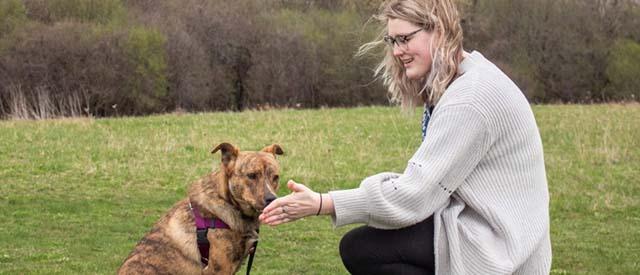 a Carroll University student kneeling down next to a brown and black dog as it smells her hand